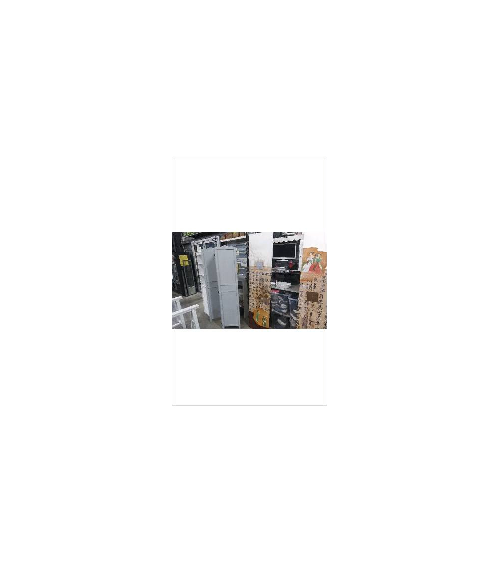 DECO PANNEAU ASIATIQUE CARRE ARGENT (200X50)