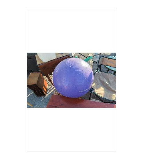BALLON GYM GO SPORT