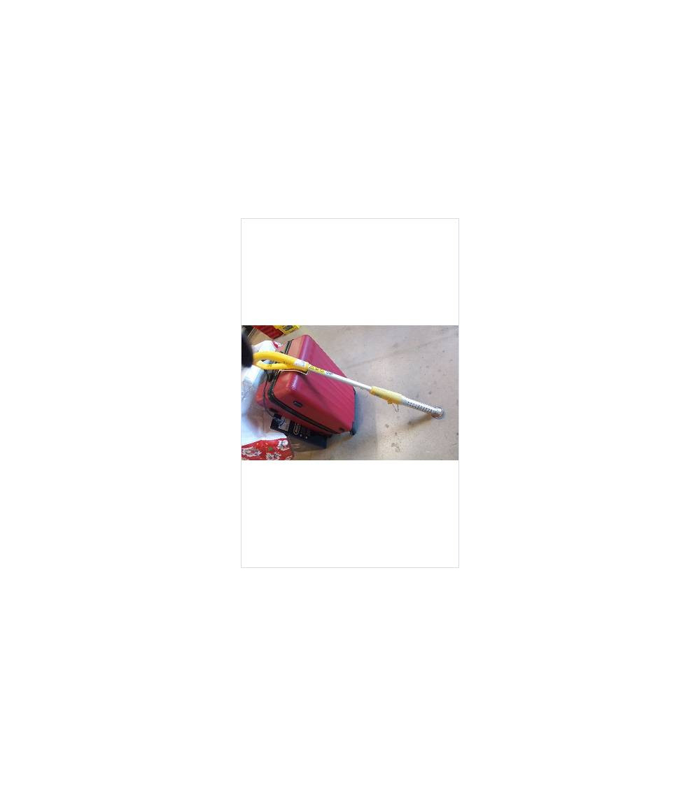 DÉSHERBEUR THERMIQUE 