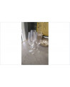 FLUTES CRISTAL X3