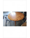 TABLE 1 RALLINGE - PIN/ 105CM