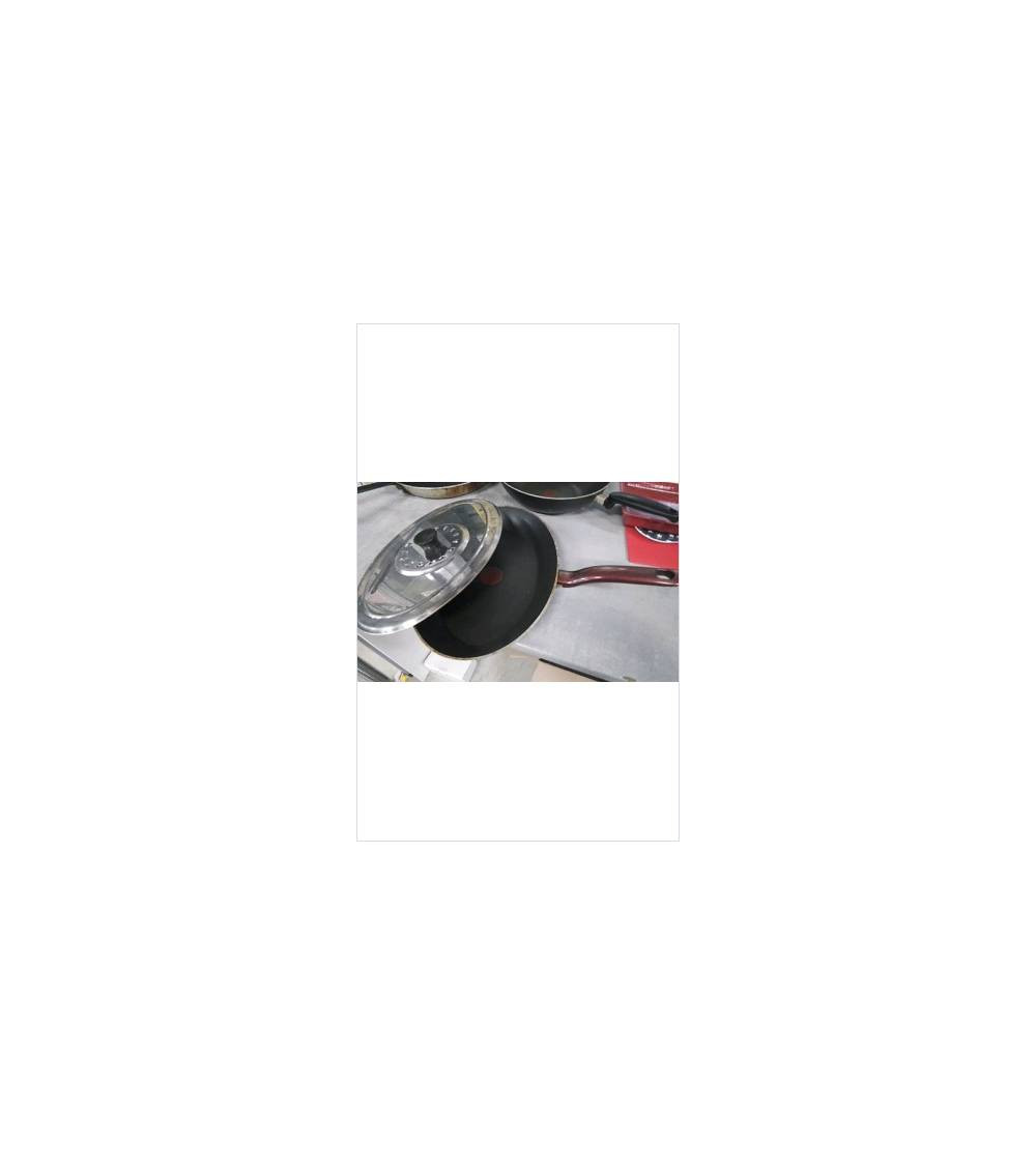 POELE A POISSON TEFAL + COUVERCLE 