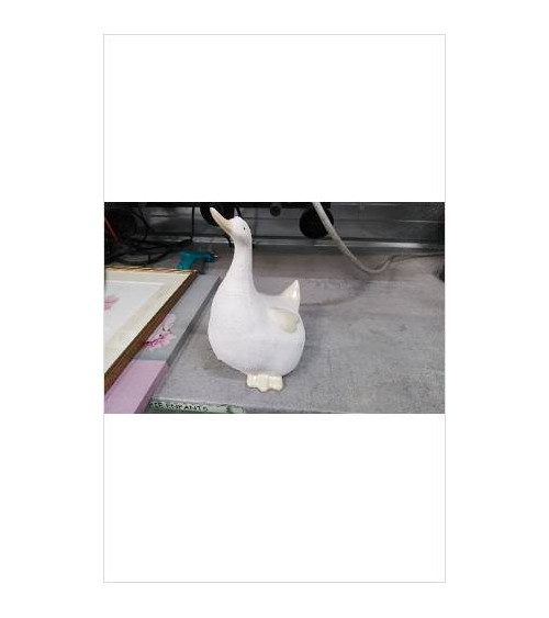 DECO CANARD 