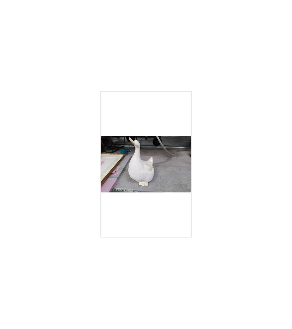 DECO CANARD 