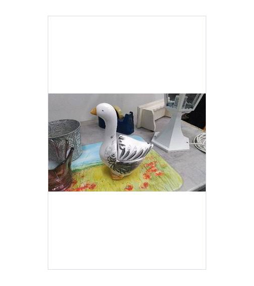 BOITE CANARD 