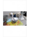 BOITE CANARD 