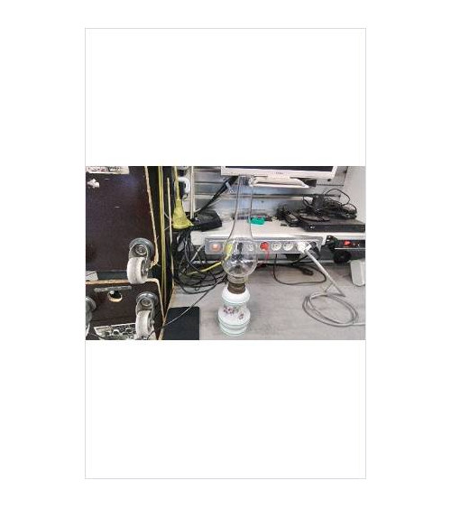 DECO LAMPE A PETROLE GM