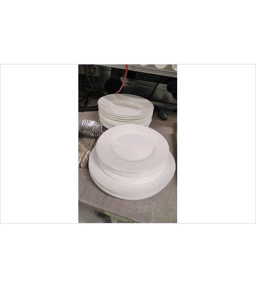 ASSIETTES ARCOPAL LE LOT 