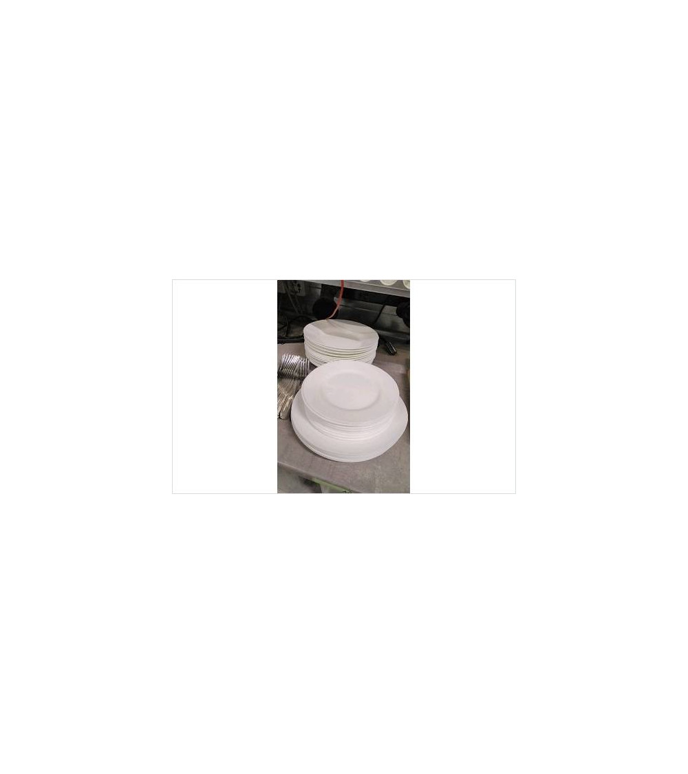 ASSIETTES ARCOPAL LE LOT 