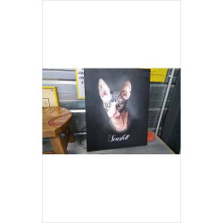 TOILE CHAT 