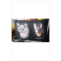 TOILE CHAT 