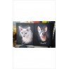 TOILE CHAT 