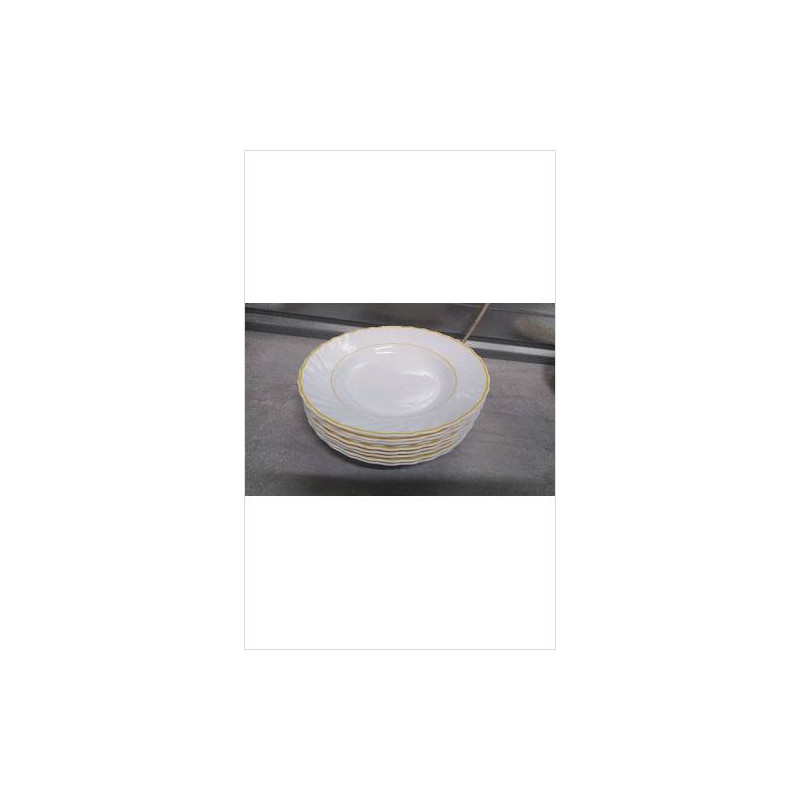ASSIETTES CREUSES ARCOPAL 