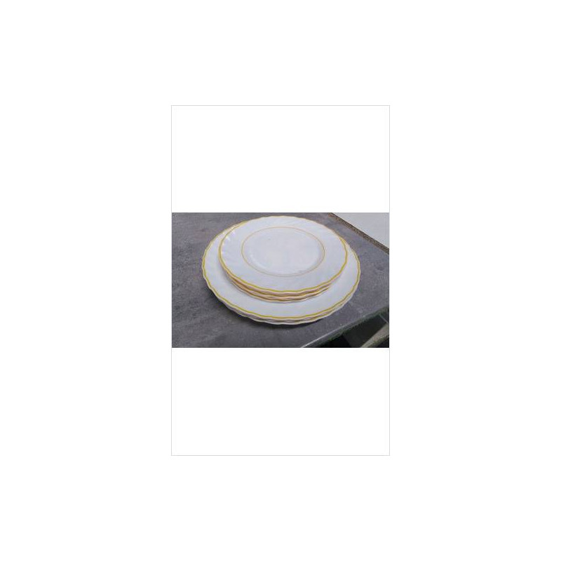 ASSIETTES ARCOPAL 