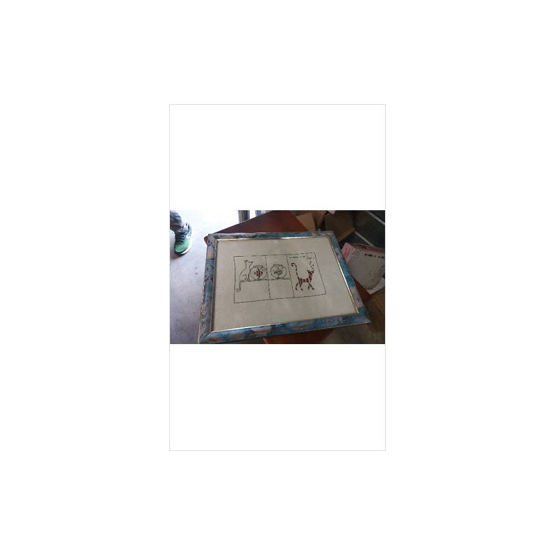 CADRE CHAT 