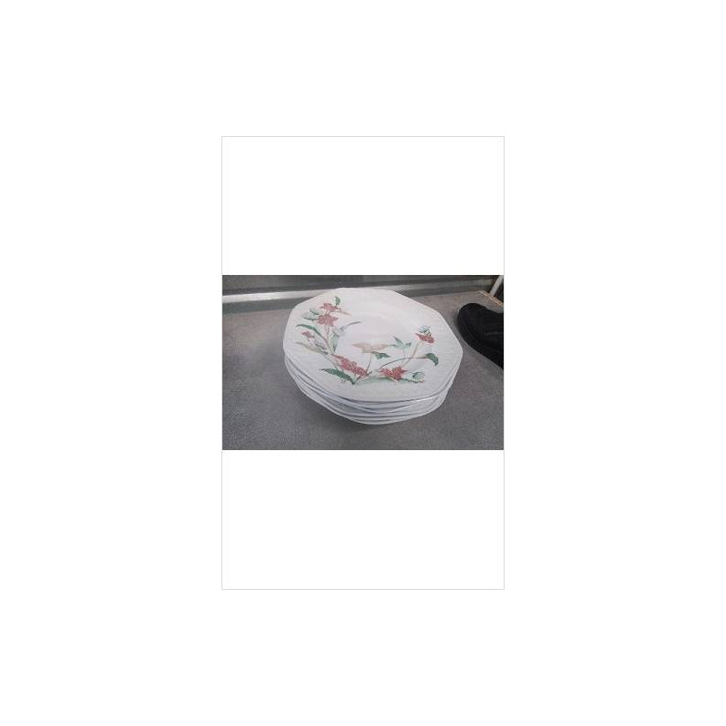 ASSIETTES X6