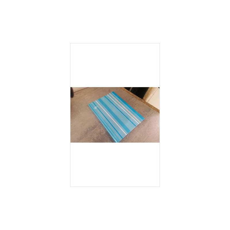 CARNET BLEU 