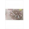 PLAT A HUITRES PLASTIQUE 