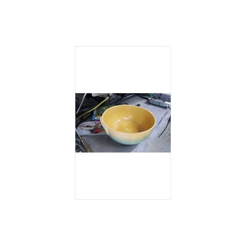 PLAT CREUX JAUNE VERT