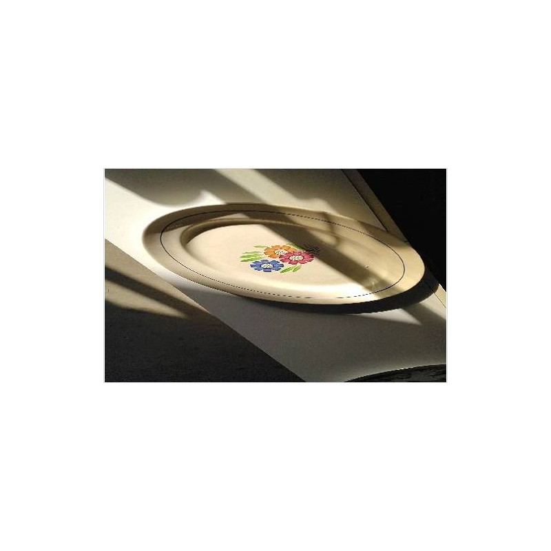 PLAT OVALE LUNEVILLE 
