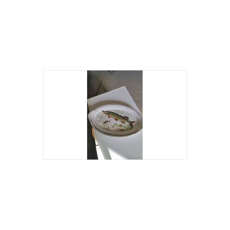 PLAT POISSON 