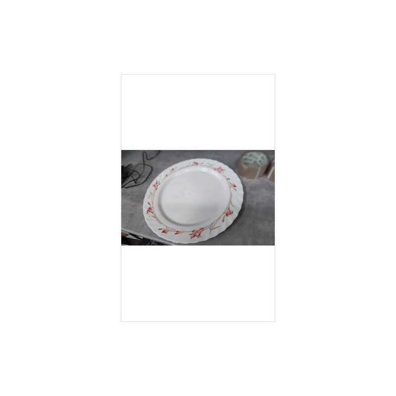 PLAT ROND ARCOPAL 