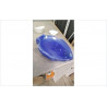 ASSIETTES POISSON PLASTIQUE 