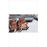 FAUTEUIL BARBER BOIS CANNEE
