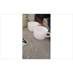TASSE  