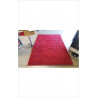TAPIS ROUGE 230X160