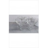 COUPES A GLACE DAUPHINS X4 