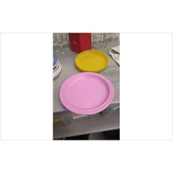 ASSIETTES PLASTIQUE 