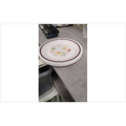 ASSIETTES ARCOPAL X4 