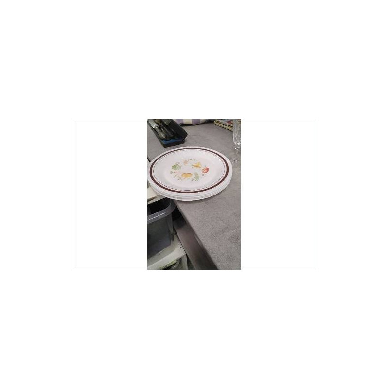 ASSIETTES ARCOPAL X4 