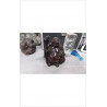 BOUDDHA RESINE 
