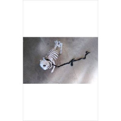 DECO HALLOWEEN SQUELETTE