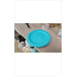 ASSIETTES PLASTIQUES 