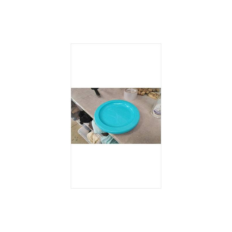 ASSIETTES PLASTIQUES 