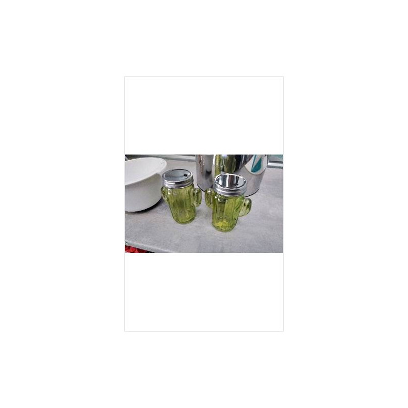 DECO LUMINEUSE CACTUS 