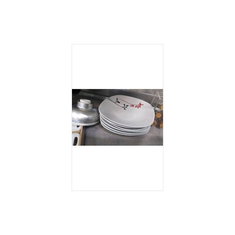 ASSIETTES CREUSES X6 