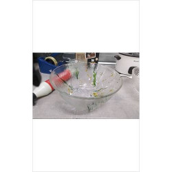 SALADIER VERRE GM 