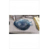 ASSIETTES POISSON PM X3 