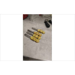 COUTEAUX A BEURRE X4 