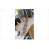 PATERE VINTAGE GRISE