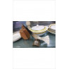 DECO OISEAU CORNE 