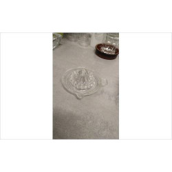 PRESSE AGRUME VERRE 