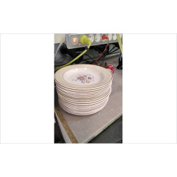 ASSIETTES SALINS 