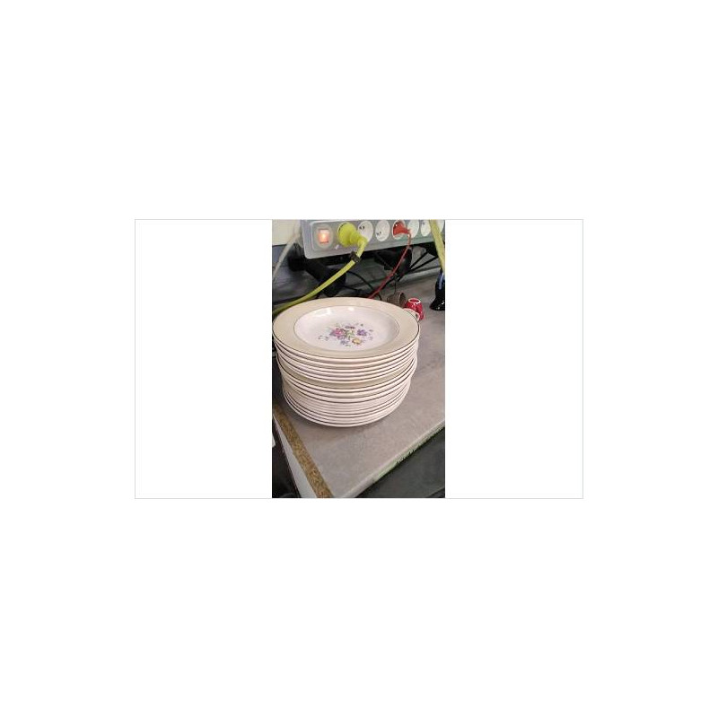 ASSIETTES SALINS 