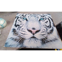 DECO TIGRE