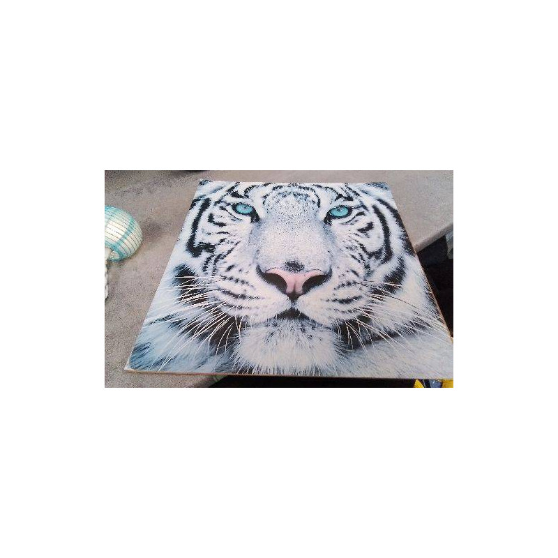 DECO TIGRE
